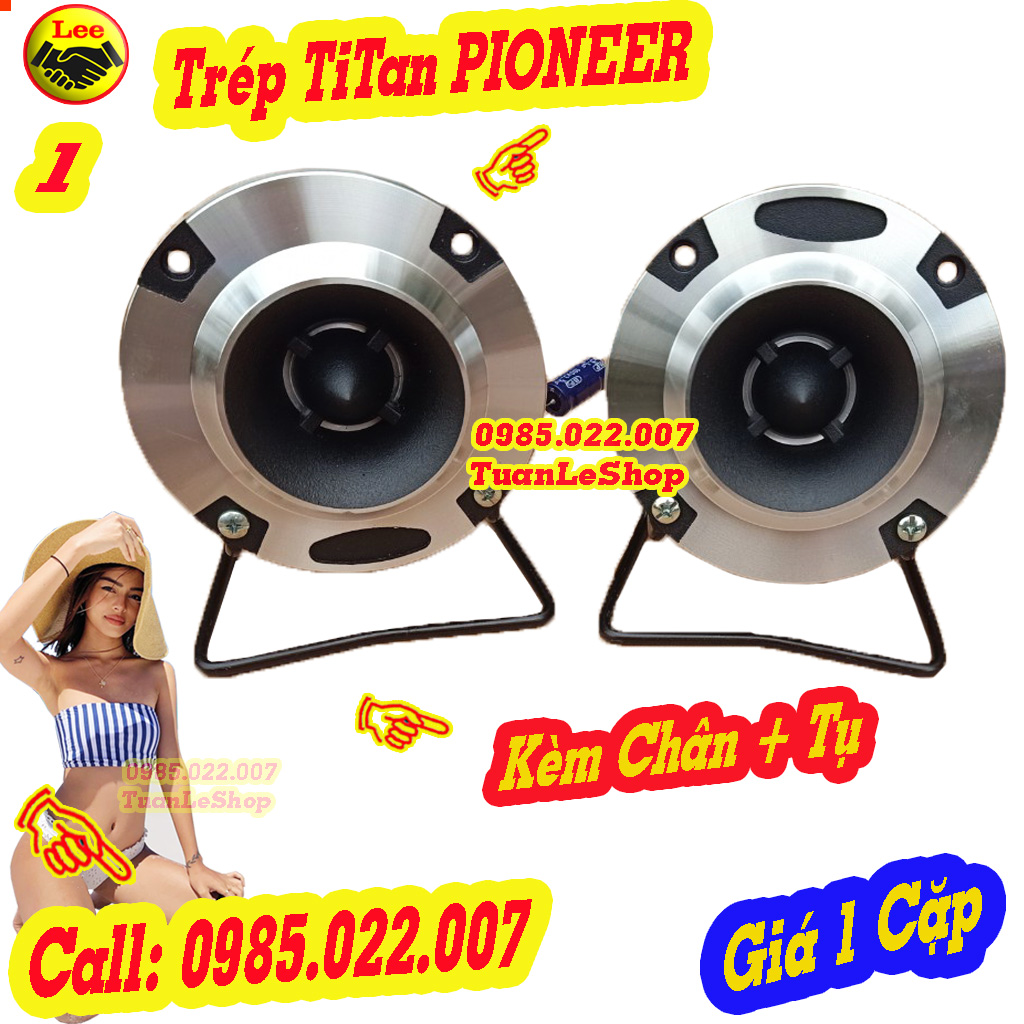 LOA TREBLE RỜI PIONEER  KÈM CHÂN ĐẾ VÀ 2TỤ  XỊN – BỘ 02 LOA PIO 13