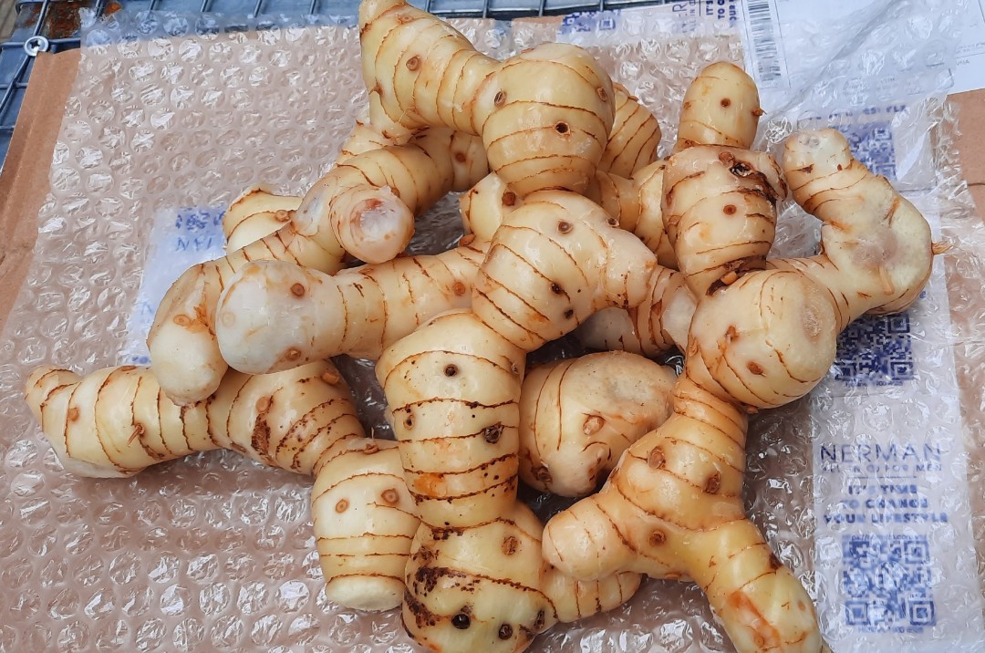 riềng
