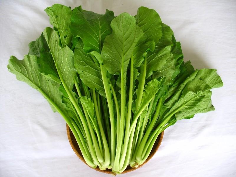 Hạt giống cải ngọt cọng xanh 20gr