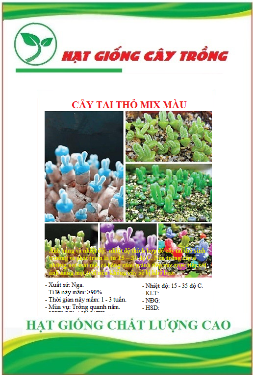 Hạt giống cây tai thỏ mix màu ct506 - gói 50 hạt