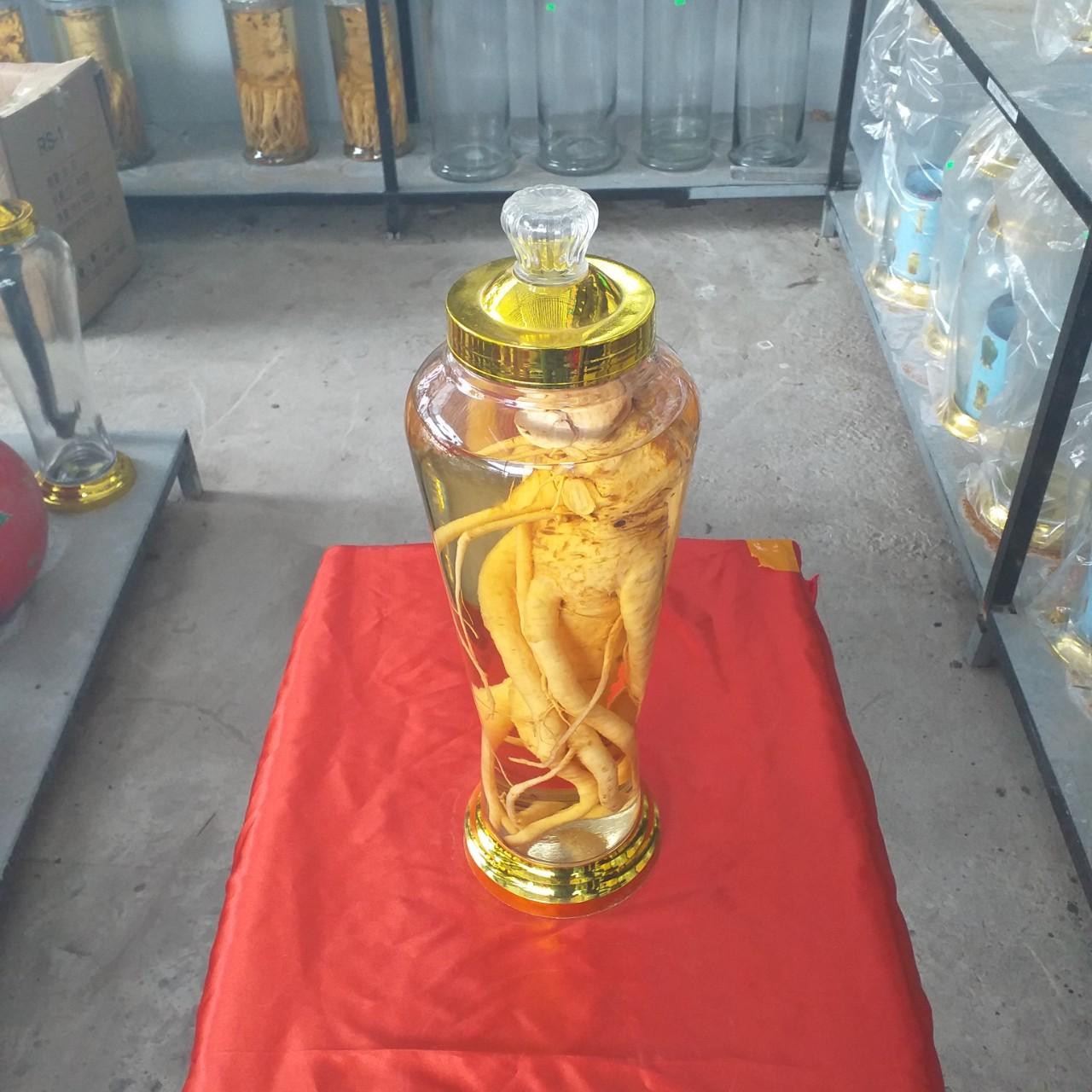 BÌNH NGÂM RƯỢU SÂM, ĐINH LĂNG, HOA QUẢ THỦY TINH 7 LÍT