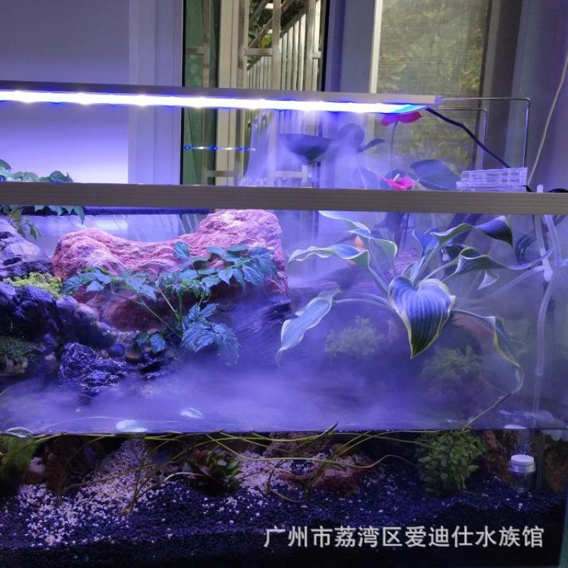 Máy tạo khói kết hợp Đèn led đổi màu cho hồ bán cạn, hồ cá