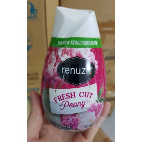 Sáp thơm Renuzit -  Nhật Bản