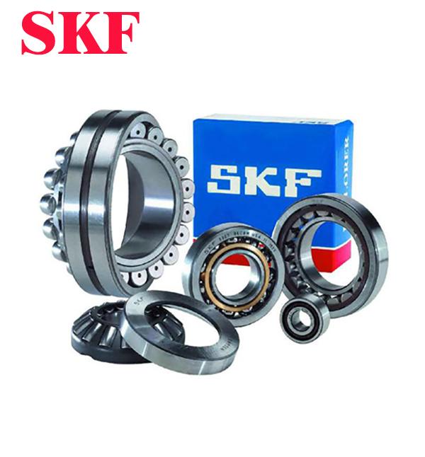 Vòng bi SKF 6002-2Z, 6002-2Z/C3