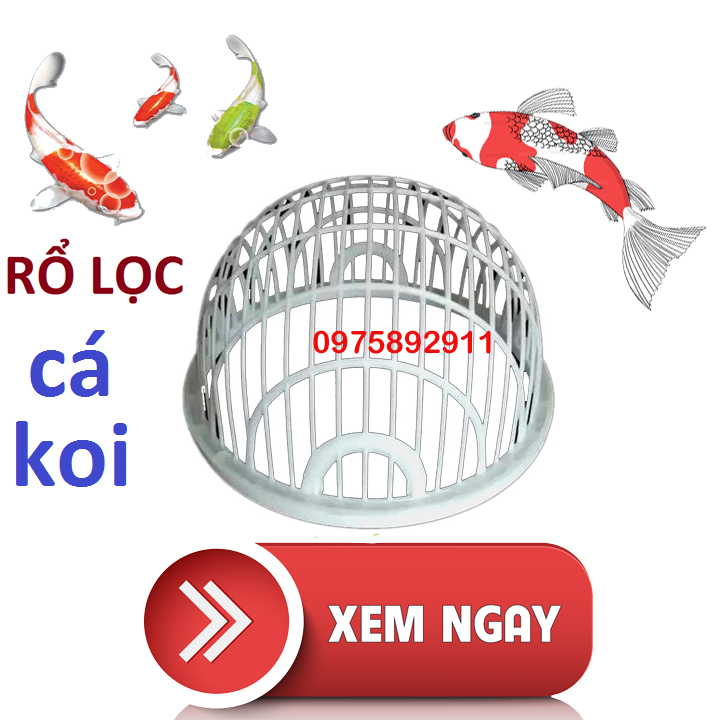 RỔ LỌC CÁ , LƯƠN GIỐNG CHUYÊN NGHIỆP