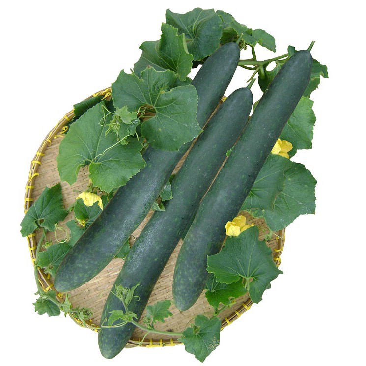 Bí đao sấy lạnh 100g