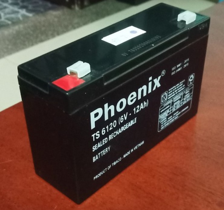 Ắc quy lưu điện Phoenix 6V - 12Ah TS6120