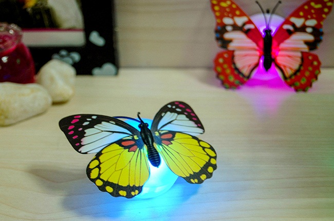 Bướm 3D Dán Tường Có Đèn Led