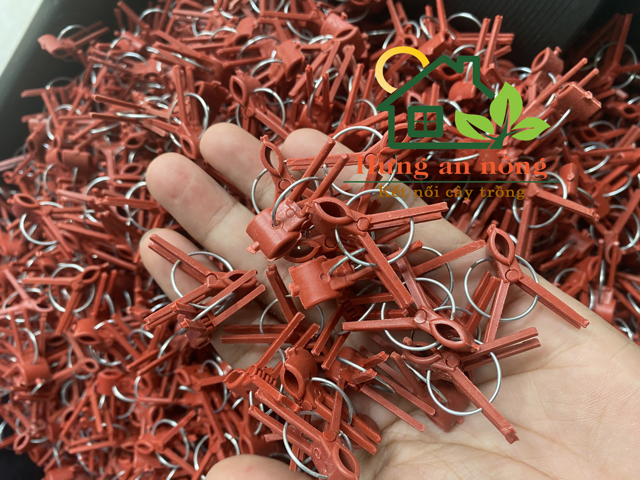 Túi 1kg- Kẹp dùng ghép cây giống bầu bí chanh dây dưa leo cà chua