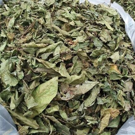 combo 2kg xạ đen khô