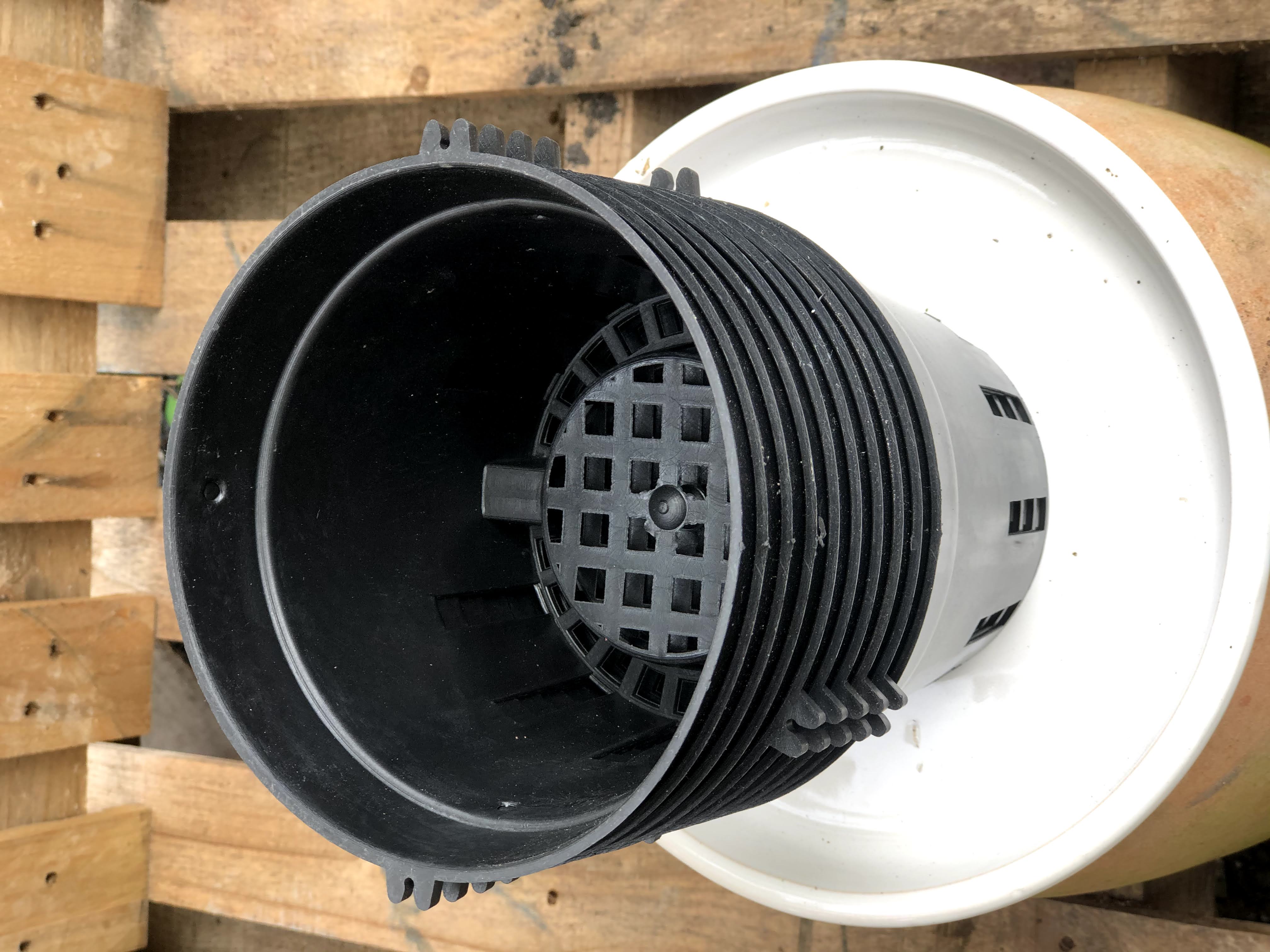 Bộ 10 chậu trồng lan kích thước fi 16 cm