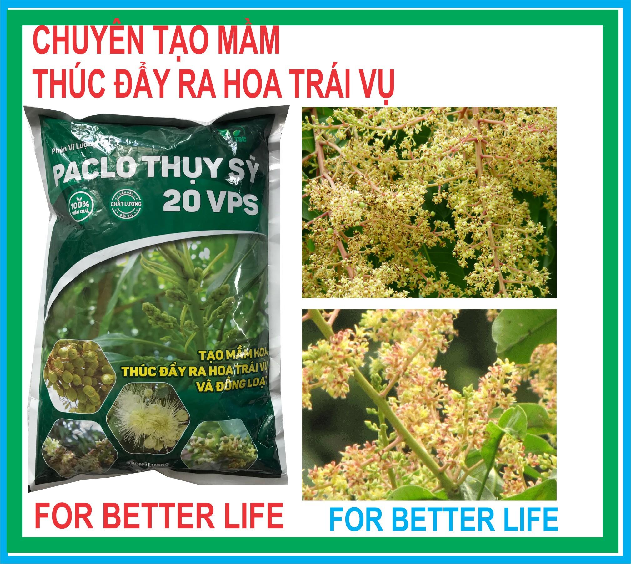 Phân Bón Lá Tạo Mầm Hoa Thúc Ra Hoa Trái Vụ Và Đồng Loạt PACLO THỤY SỸ