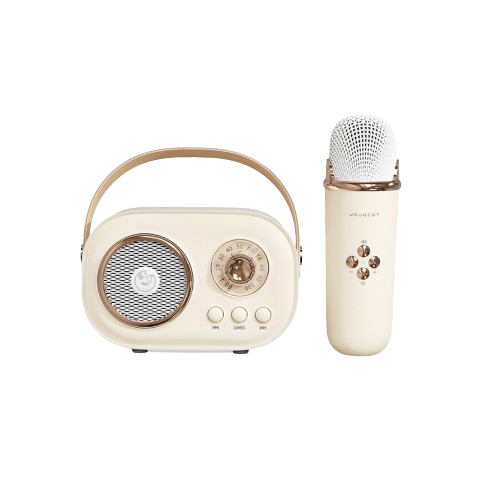 Loa hát Karaoke Bluetooth C20 Plus kèm mic âm thanh cực hay điều chỉnh giọng thiết kế nhỏ gọn