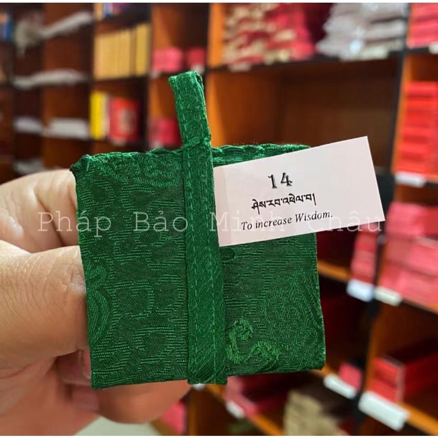 [PBMC] Linh phù Tu viện Shechen Nepal