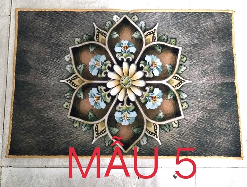 Thảm Lau Chân In Hình 3D ,RẺ ,BỀN ,ĐẸP