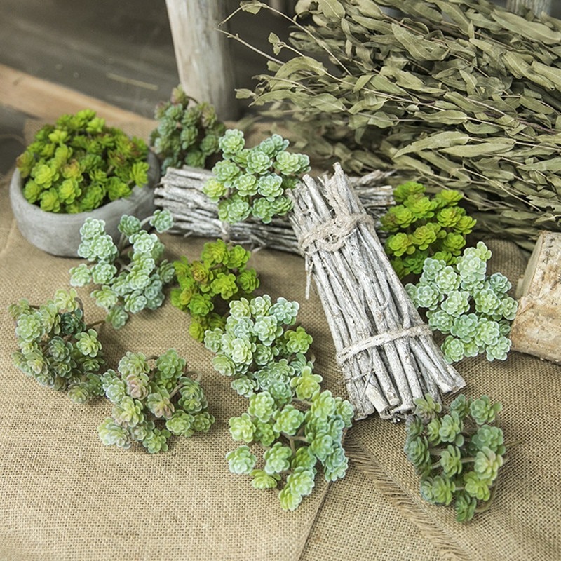 Cụm Hoa Sen Đá - Hoa sen đá giả nhiều cánh