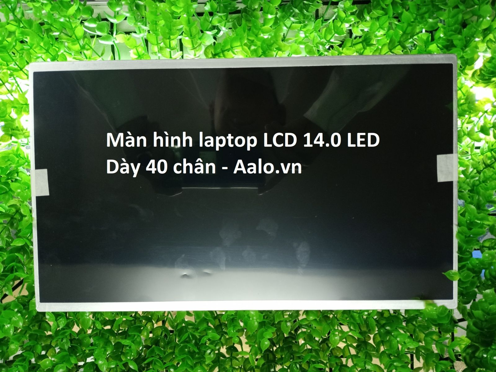 Màn hình laptop asus x451 x451ca x451cc