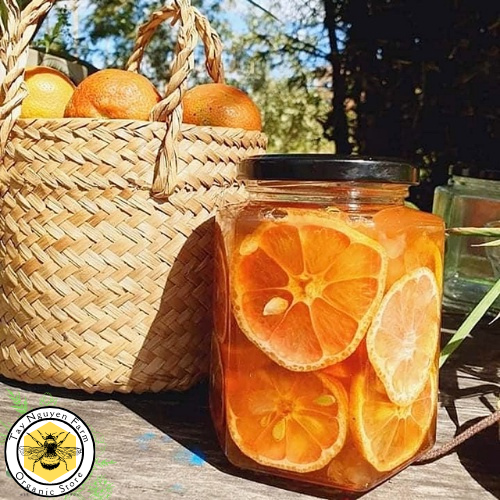Hũ 500gr Chanh đào ngâm mật ong nguyên chất Tây Nguyên Farm