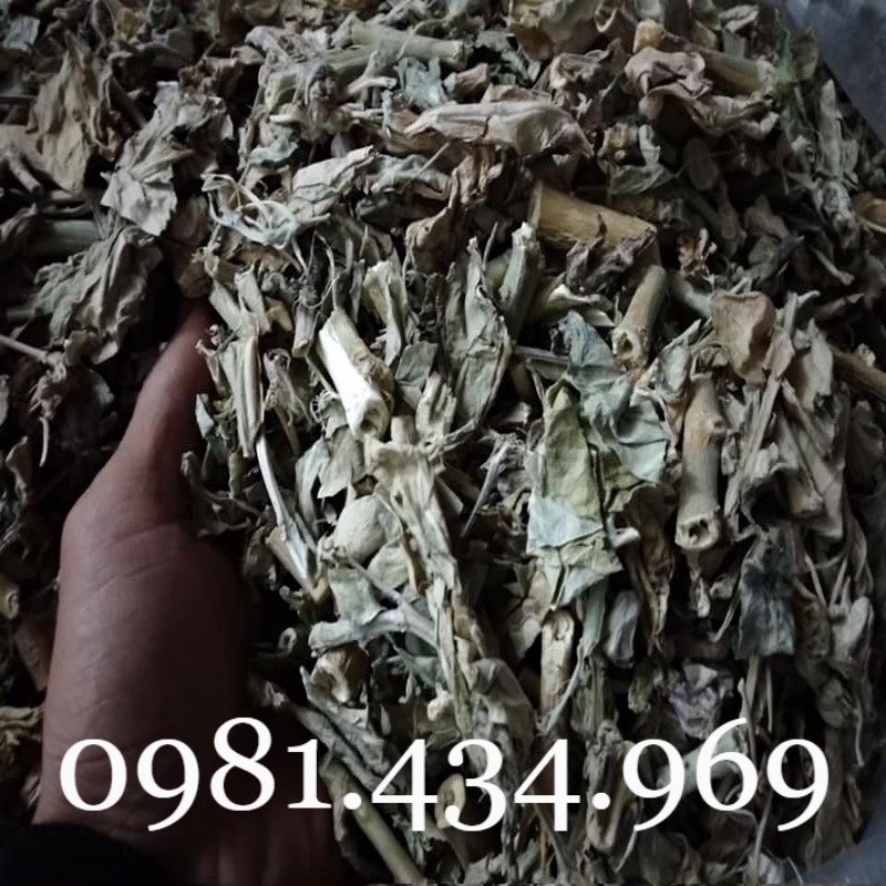 Lá Hen Khô 01 KG (Bàng Biển, Bồng Bồng, Lưỡi Bò) Sạch