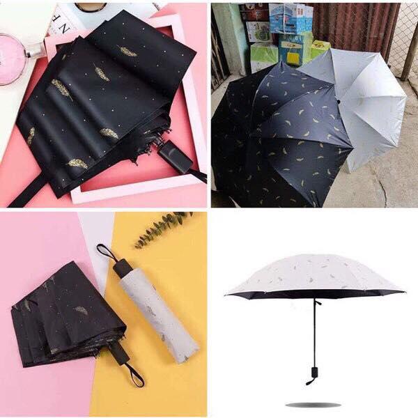Ô gấu Brown gấp gọn chống tia UV