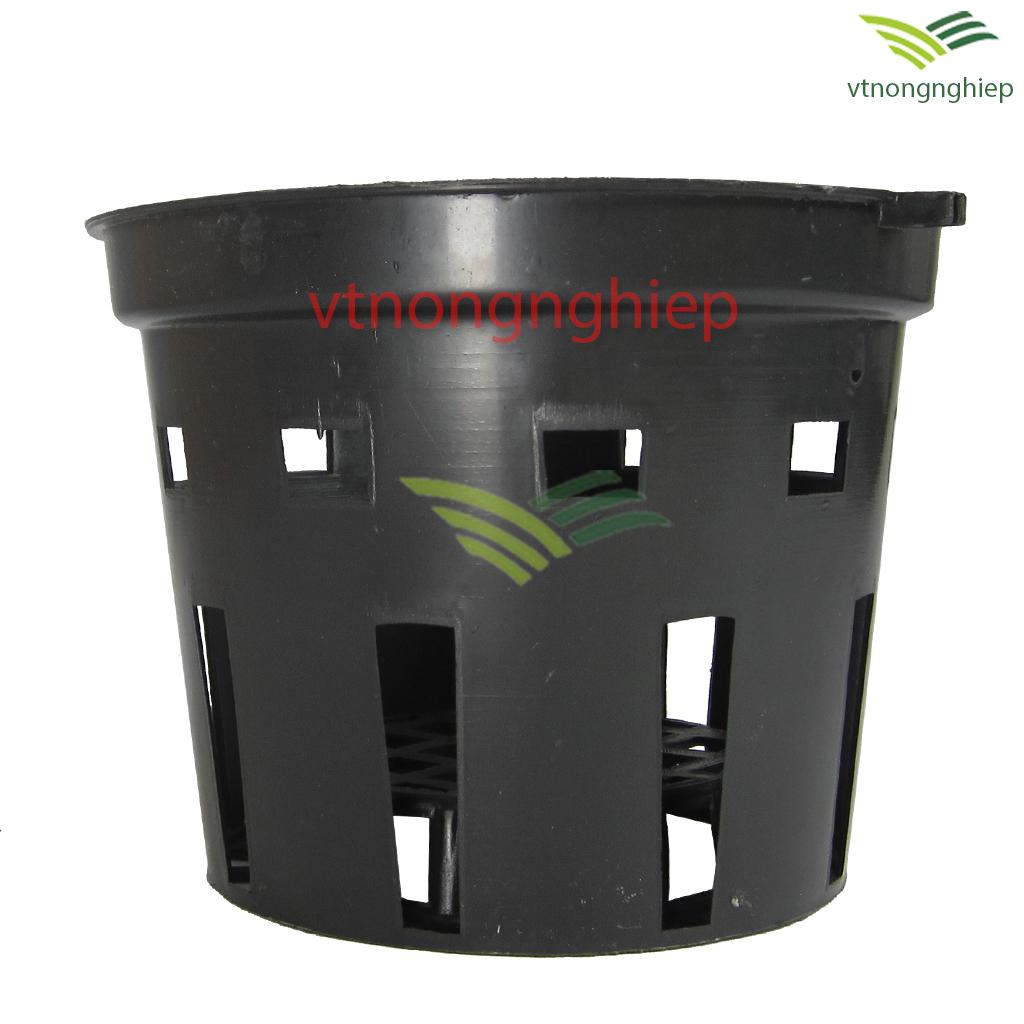 5 Chậu nhựa trồng Lan phi 14cm