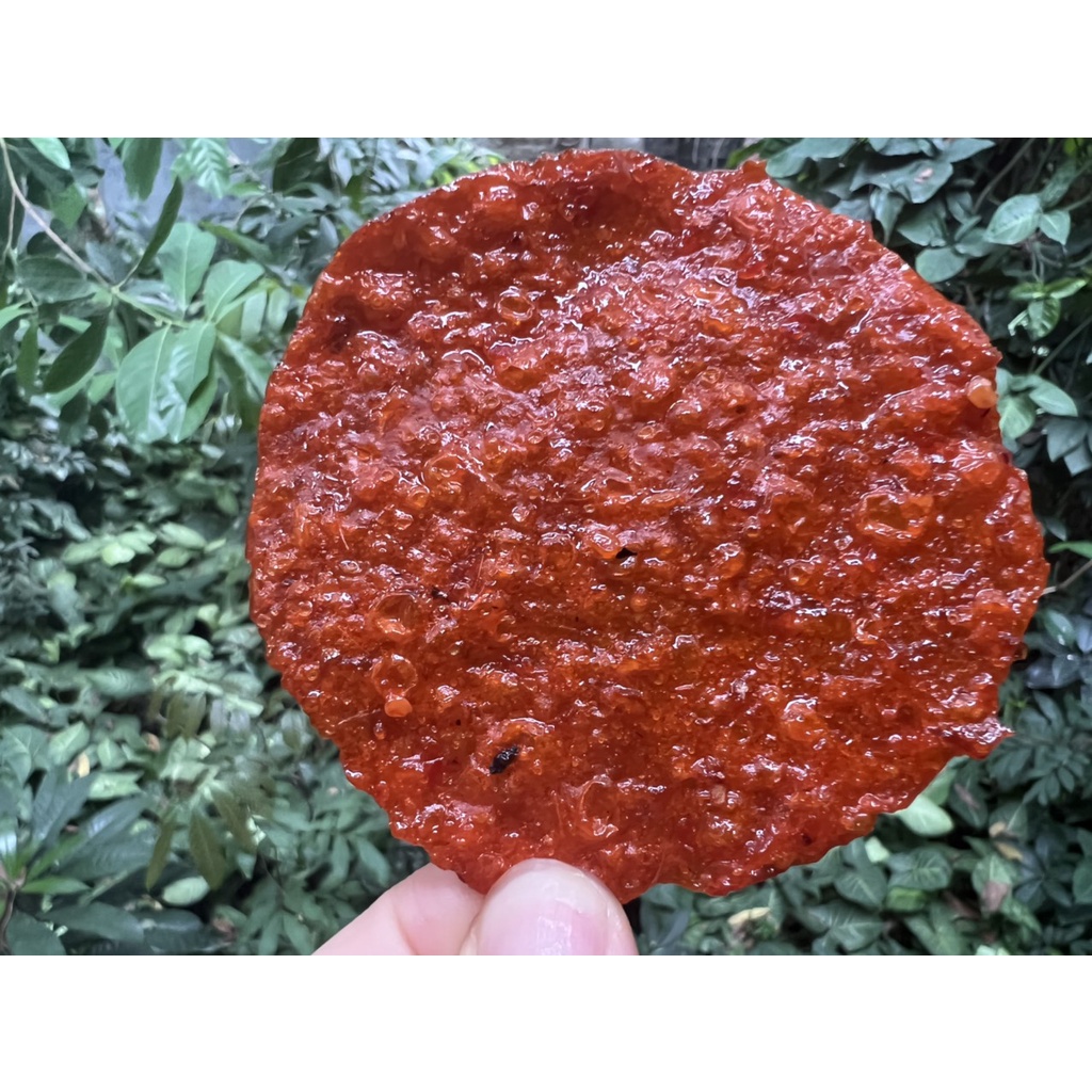 CÁ BÒ NƯỚNG SA TẾ ĐÀ NẴNG DÂY 10 GÓI