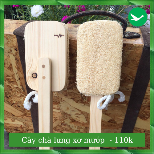 CÂY CHÀ LƯNG XƠ MƯỚP [ SẠCH LƯNG ] [ ĐÃ NGỨA ] [ MỊN DA ] [ NO PLASTIC ]