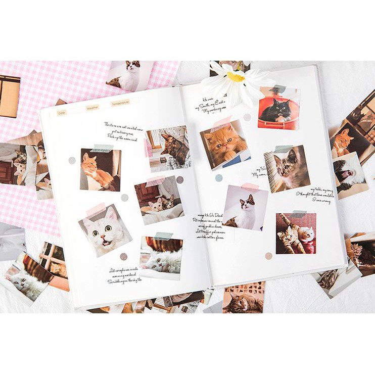 Bộ 46 Sticker Mèo Hàn Quốc dán trang trí E80