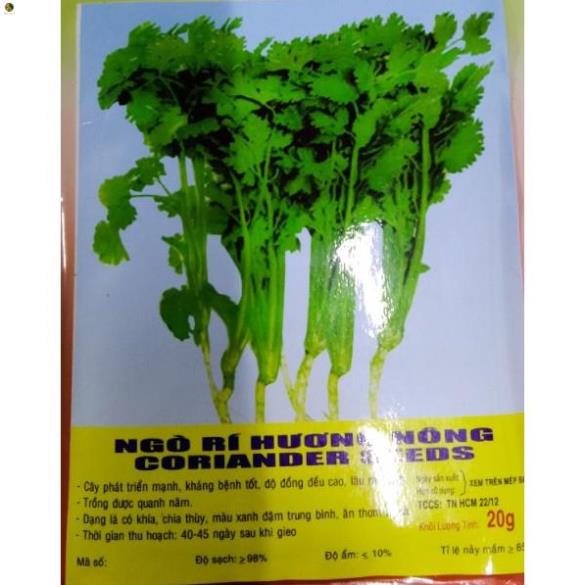 Hạt ngò rí - gói 20 gram
