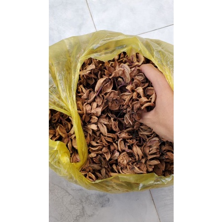Hoa sứ khô trang trí handmade