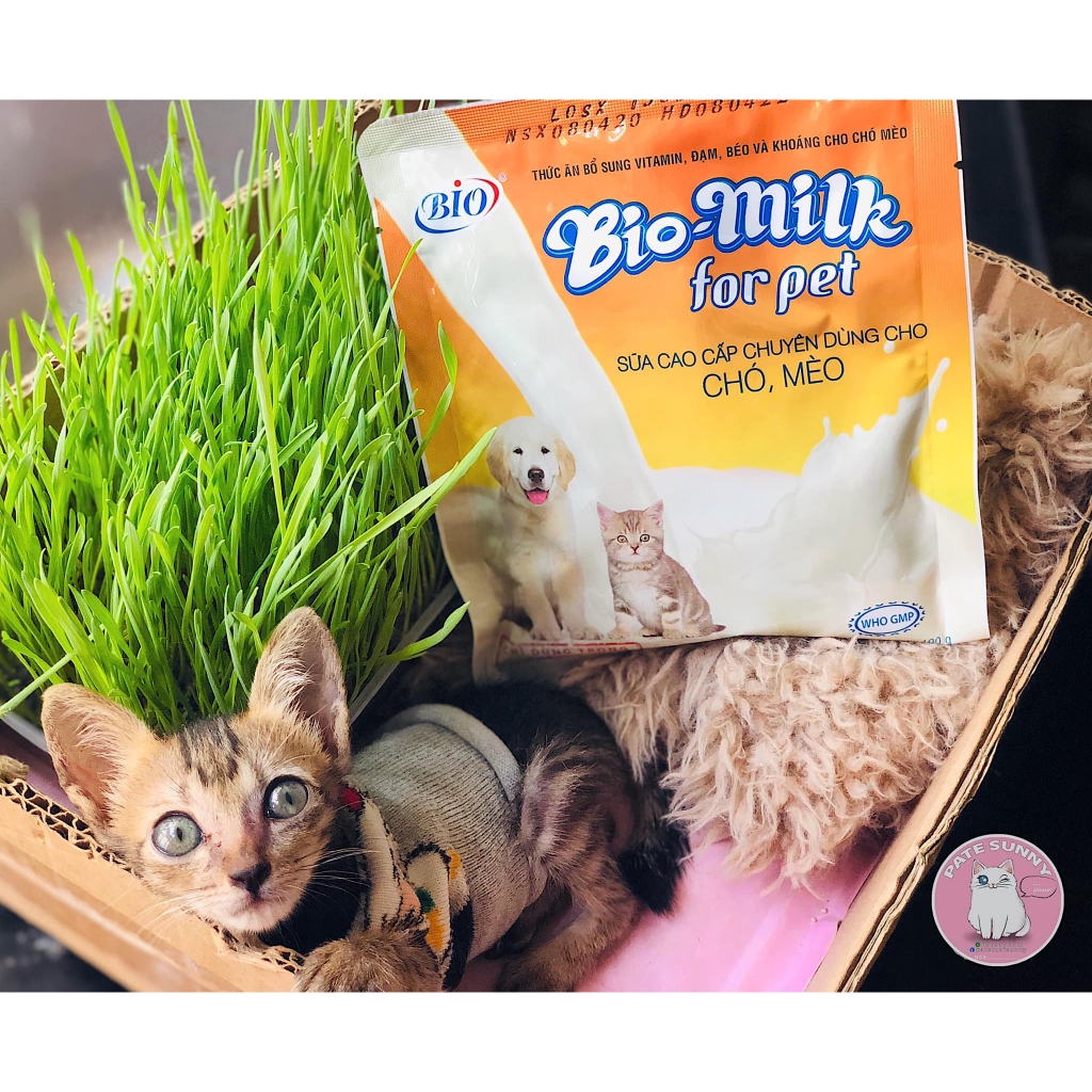 Sữa bột Bio Milk dành cho chó mèo sơ sinh - gói 100g