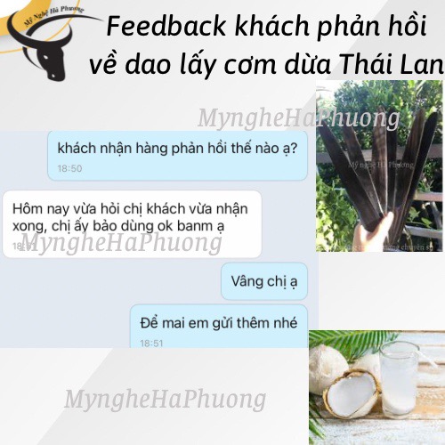 [Loại 1] Dao sừng lấy cơm dừa nguyên trái kiểu Thái Lan