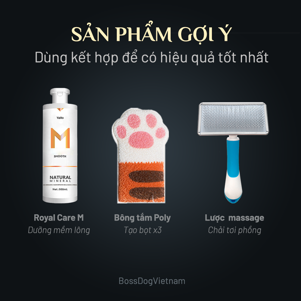 Lược chải lông chó mèo - Đầu răng tròn | BossDog