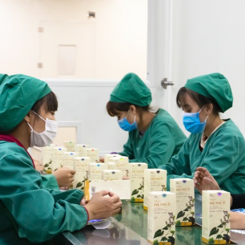 Dầu Xả Hà Thủ Ô Cenota Cỏ Mộc Suôn Mượt, Sạch Gàu, Ngăn Gãy Rụng, Dưỡng Tóc Chắc Khỏe 300ml