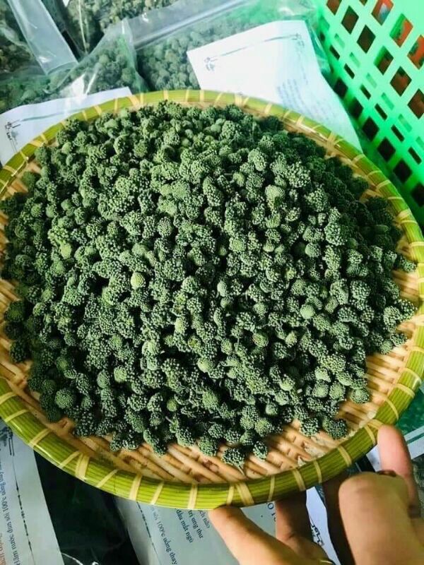 250g nụ tam thất đặc biệt
