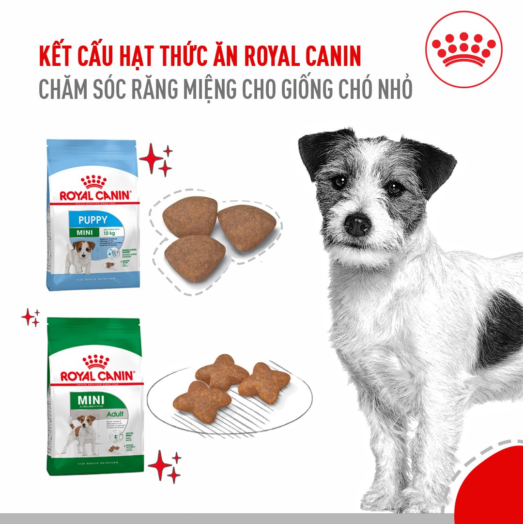 Hạt cho chó ROYAL CANIN Mini Dành cho chó cỡ Mini (tối đa 10kg)