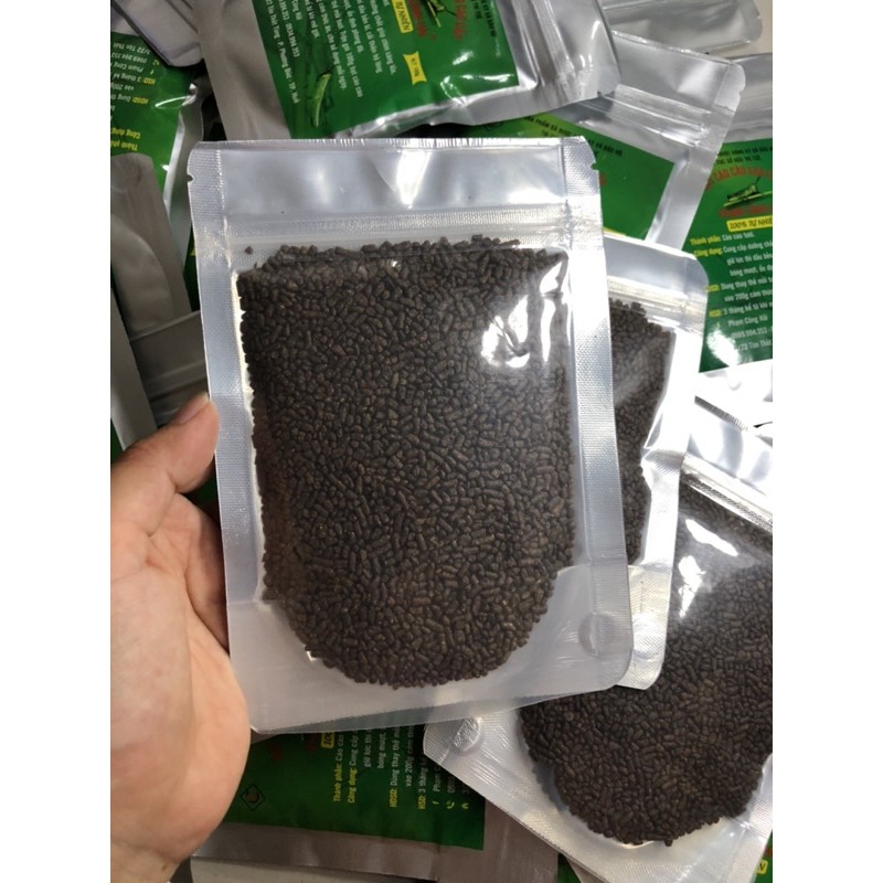 Hạt cào cào thay thế mồi tươi - Cám chim cao cấp.