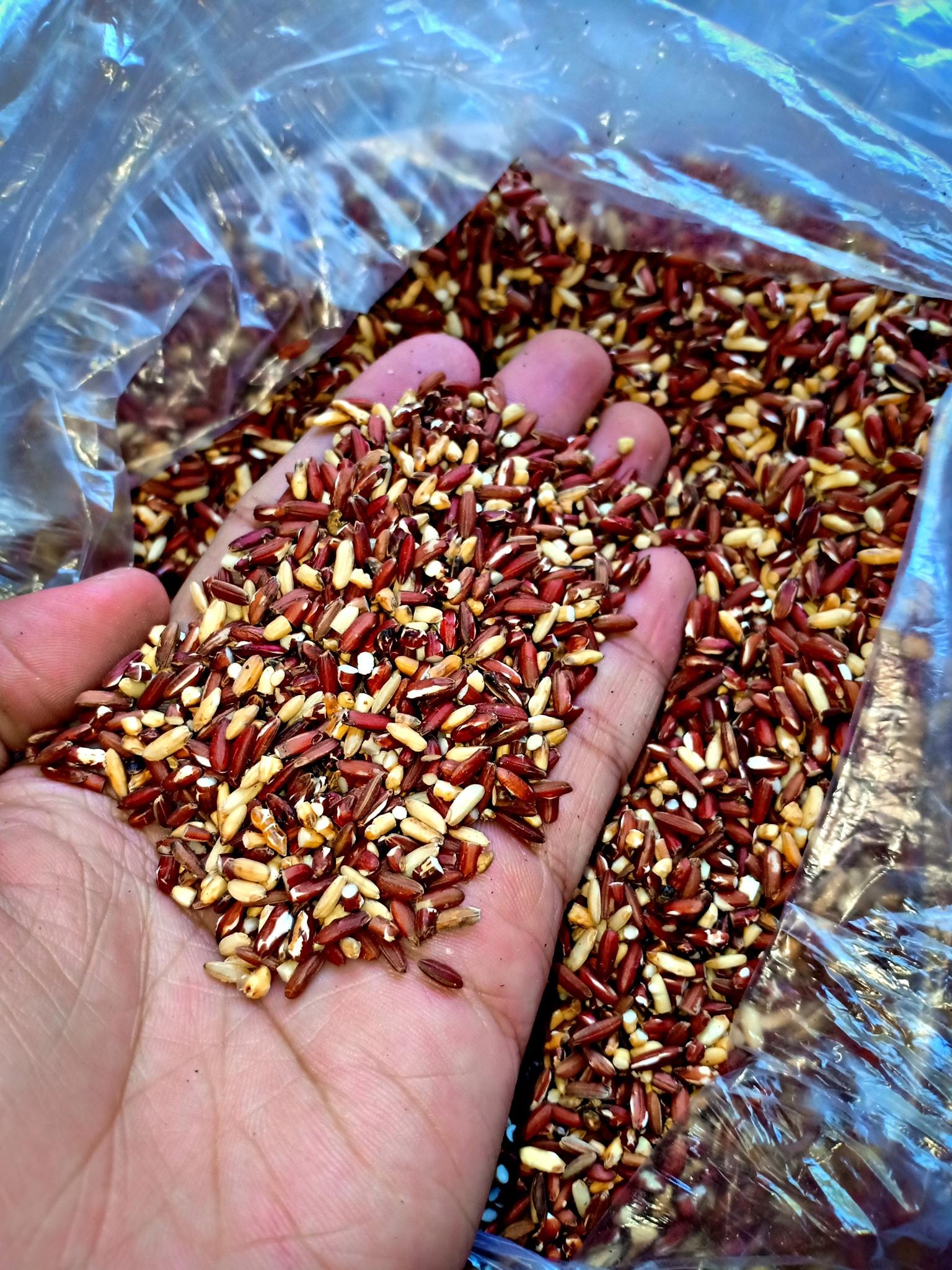 [Giá Xưởng] 1KG bột mè đen gạo lức huyết rồng