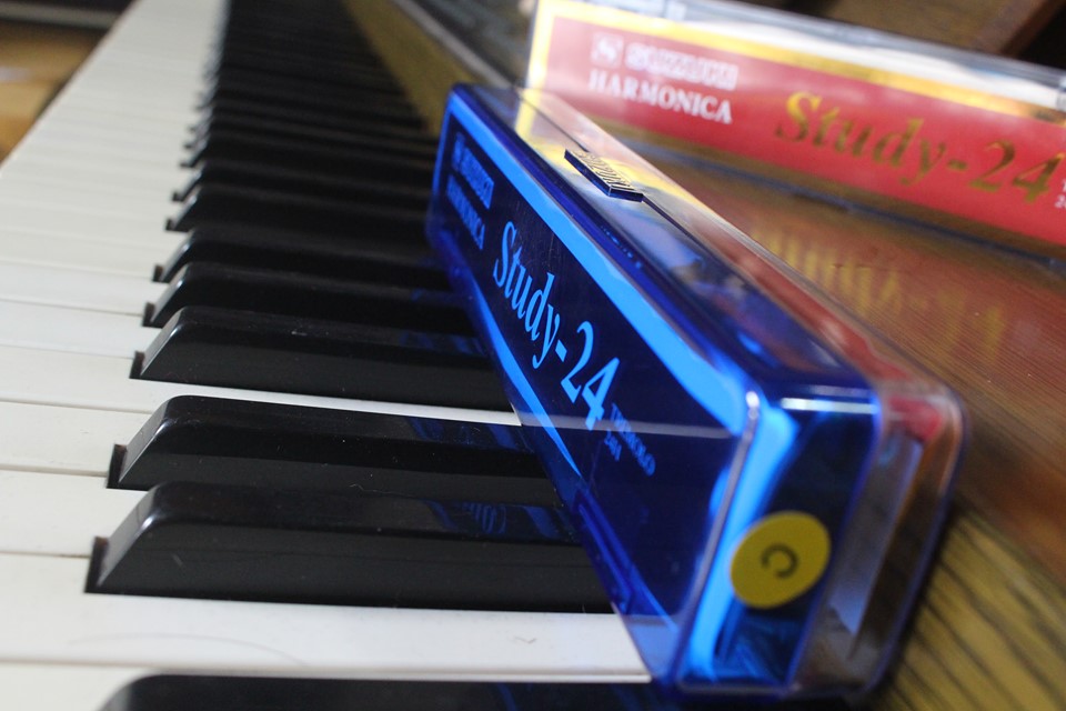 Kèn harmonica Study 24 giành cho người mới tập chơi