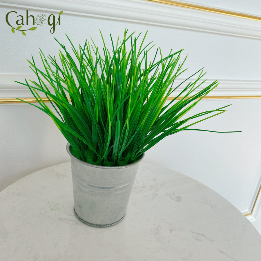 Chậu Cây Giả Chậu Lúa Mạ Non Cắm Sẵn