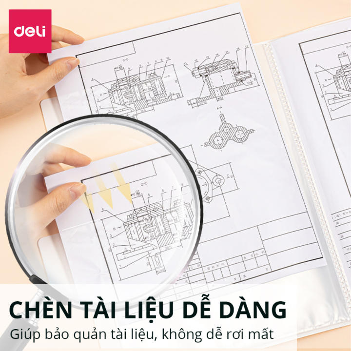 File lá học sinh A4 Deli màu pastel họa tiết cute - 30/40 lá - PQ312 - Hình ảnh 8