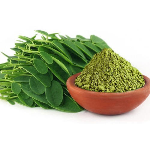 Hạt giống cây Chùm ngây (gói 50 hạt)