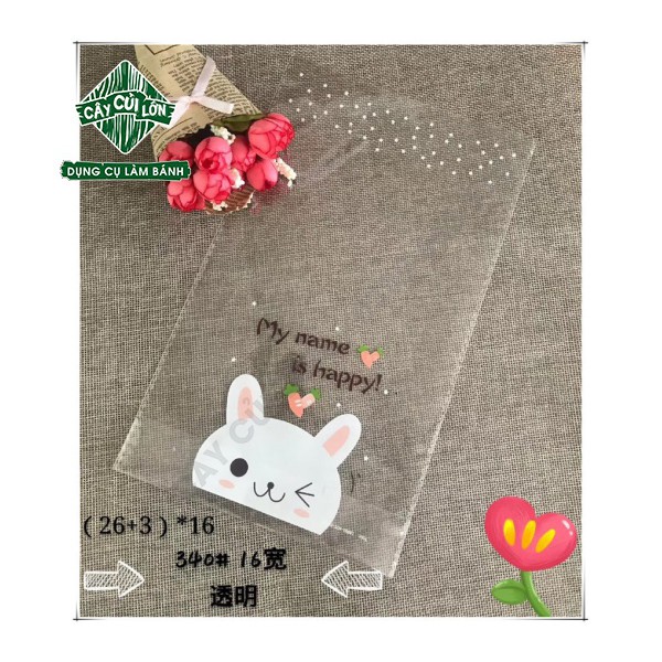 SET 100 TÚI KIẾNG KUTE