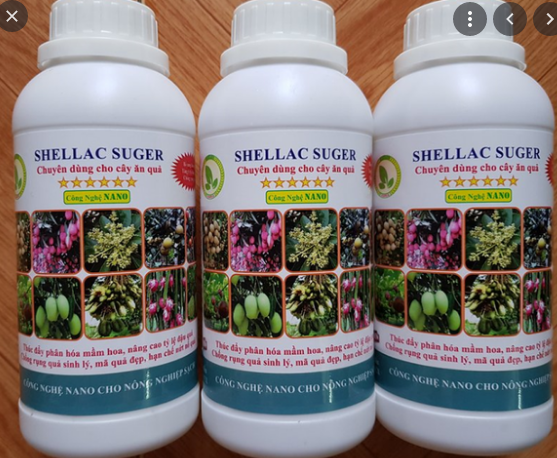 Chế phẩm shellac suger kích thích ra hoa, đậu quả 500ml