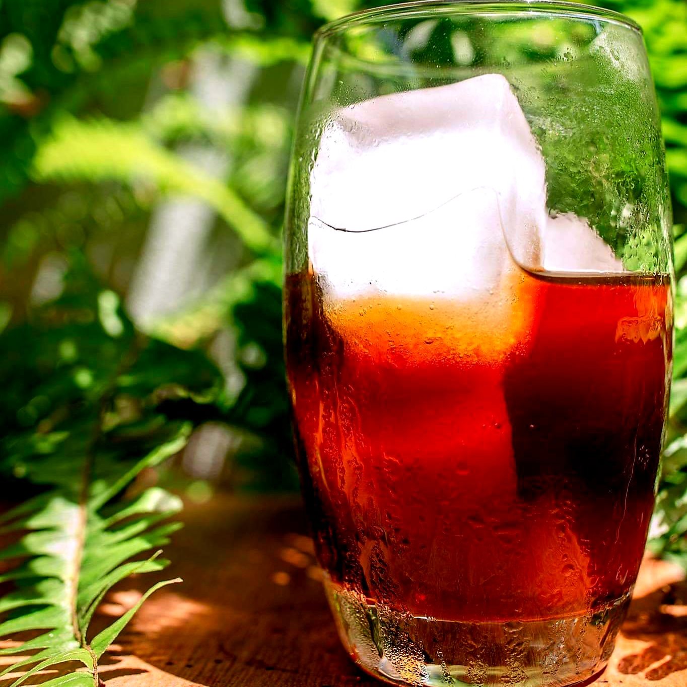 [HCM]500Gr- Dòng Arabica Fully Washed(Chế biến ướt) - Cà Phê Arabica Cầu Đất dành cho Espresso, Pha Phin (Chua thanh, hậu vị ngọt ngào)
