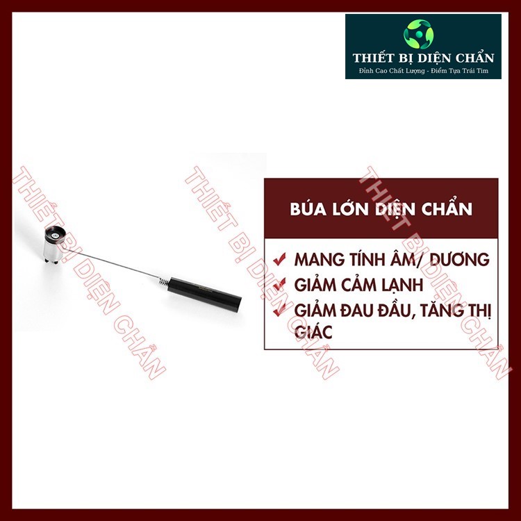 Búa Lớn Chính Hãng Dụng Cụ Diện Chẩn