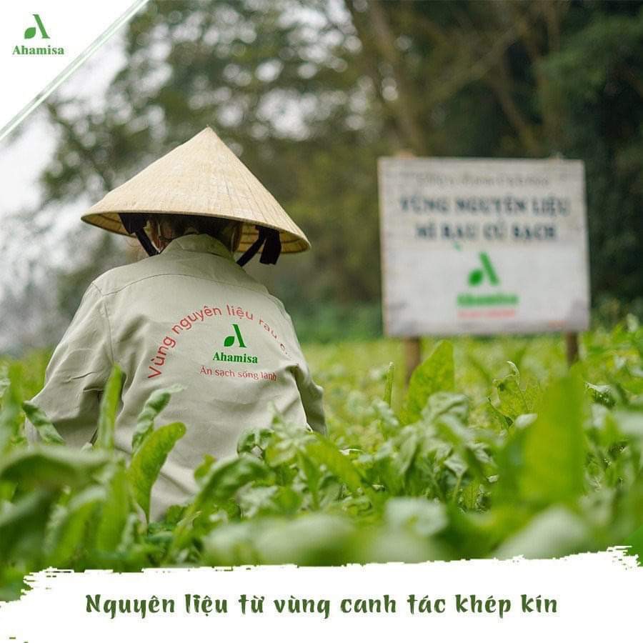 [Siêu Sale] Mì Rau Củ Sạch Cải Kale Ahamisa 240g