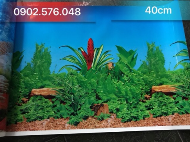 [HCM]Tranh dán hồ cá cao 40cm x1M