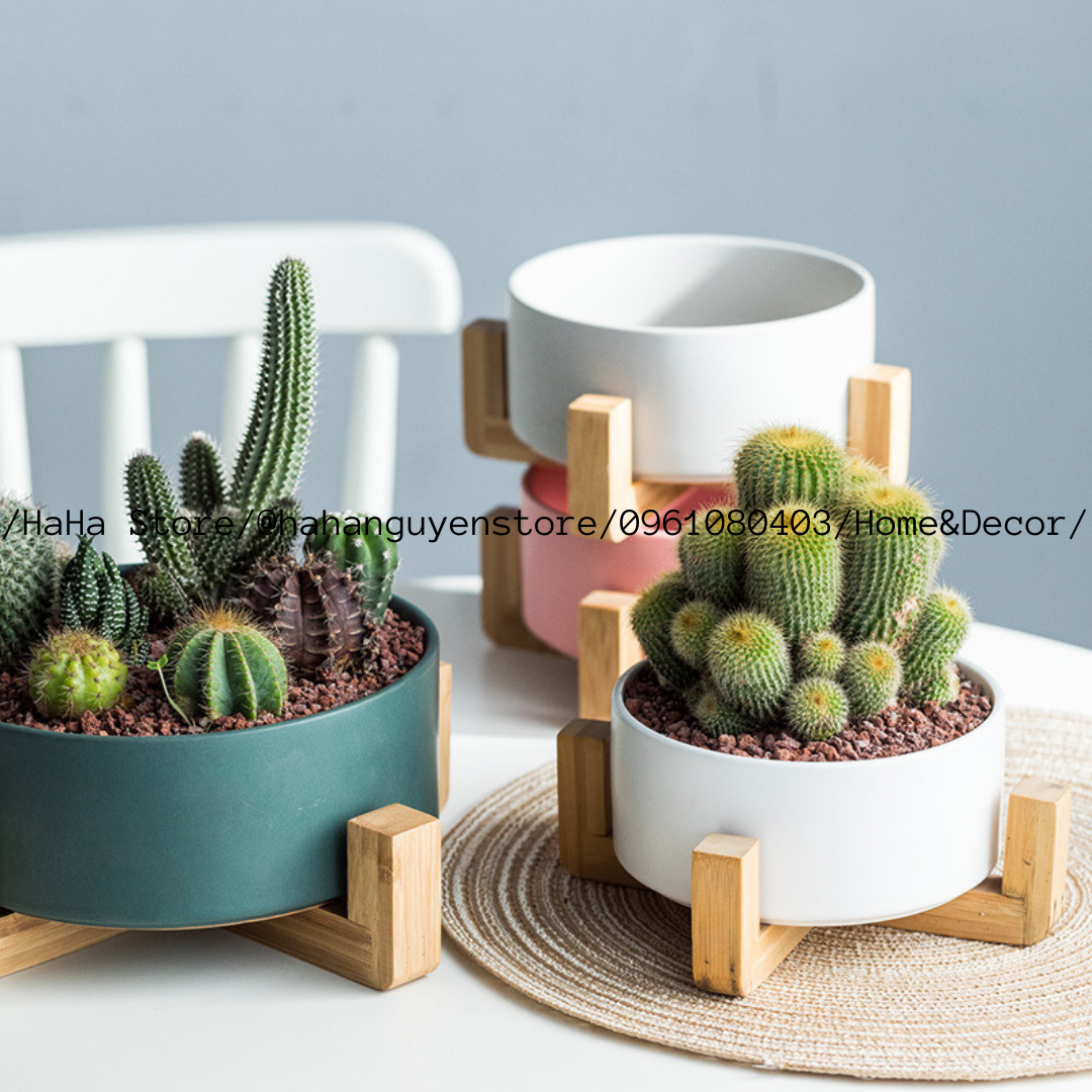 Đôn Gỗ Đặt Chậu Cây ĐỂ BÀN Decor Chậu Cây CCG05-DB