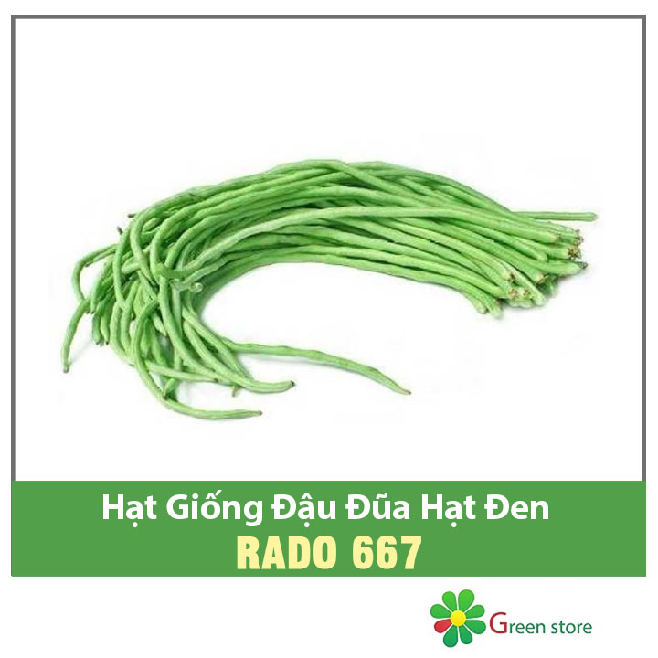 Hạt giống Đậu Đũa Ngọt Thân Lùn